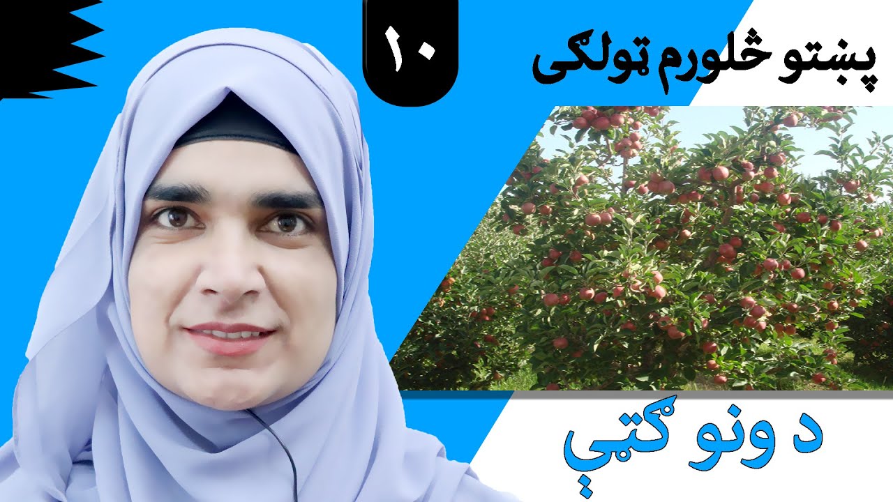 Class 4 - Pashto | title Benefits of trees - Lesson 10 | موضوع د ونو ګټې - لوست 10