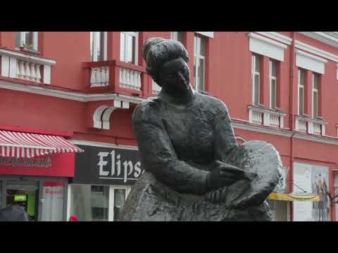 ОБЕЛЕЖЕНА 111. ГОДИШЊИЦА СМРТИ НАДЕЖДЕ ПЕТРОВИЋ