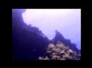 Bali Diving Part 10 Bali Diving Part 10