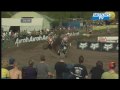 Icon for Post #MX1 Start of the race 2 in Holland 2010