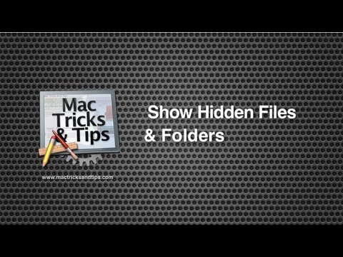 how to open hidden files