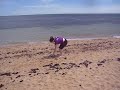 Bella's Beach Adventure Bella's Beach Adventure
