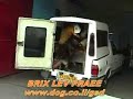 German Shepherd Dog attack trough car wash machine German Shepherd Dog attack trough car wash machine