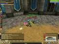 Knight Online(FallenLeaves)