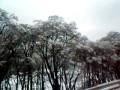 videos de Ushuaia nevado(Argentina)