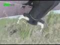 Foto v�deo