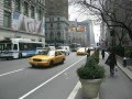 New York City Trip - 10 Days (Risal & Snowder)