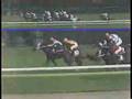 【競馬】第26回高松宮杯【ナリタブライアン参戦】