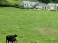 Isle-of-bute