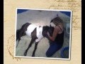 TJs Journey
