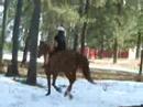 Katelyn Rose and Gracie Bareback Jumping