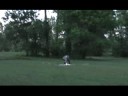 July 4th chaos part 1