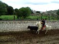 M4V01237.MP4 M4V01237.MP4