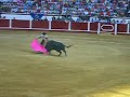 fandi torero de verdad