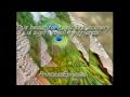 TCHAIKOVSKY.SLEEPING BEAUTY.TheBlue Bird.