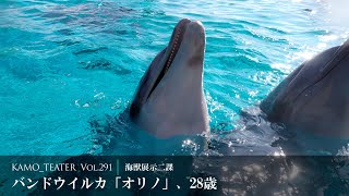 次の動画へ