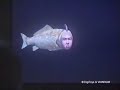 S?ga - Seaman S?ga - Seaman