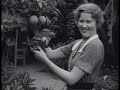 California the Golden - 1930