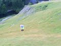 Chippy Finds The Sheep Shit! Chippy Finds The Sheep Shit!