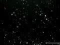 Water balloon cut in half with a katana in slow motion