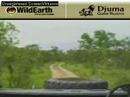 Sunrise drive 112807-13