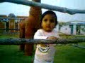 Video0006 mpeg4
