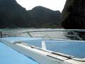 videos de phi phi island