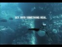 Monterey Bay Aquarium-White Noise