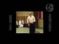 Shoji Nishio-AIKI TOHO IAI