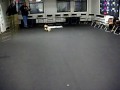 halloween-pet-photo-contest.html
