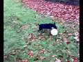 Lara mit Ball auf dem Berg.mp4