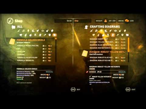 The Witcher 2 : Assassins of Kings