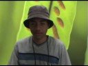 udoc long version (part 1 of 3)