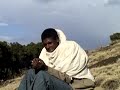 ethiopianizm.com Qererto Part II