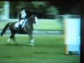 BRC Nationals Issy Simons & the Mighty Quinn II 2008