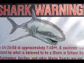Shark Attack Surfing