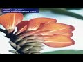 PSG 1   0 Nice.mov