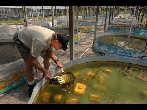 Купить строительно-отделочные материалы в Киеве Крестильная рубашка