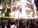 shibuya crossing shibuya crossing