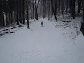 Let it snow, let it snow!