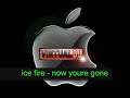 ice fire - now youre gone (basshunter )
