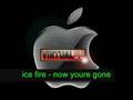 ice fire - now youre gone (basshunter )