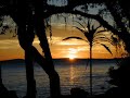 Preserve a Natureza