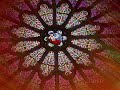 miserere