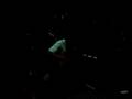 videos de SacwaZ grabacion 2