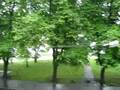 wetter.pocasi.tallin am 16.7.um 15 uhr