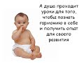 Медитации Путь к себе - Энергия прощения  (Лунный КОТ)