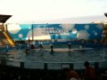 IMG_0036.MOV