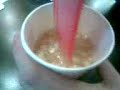 Fin del potingue
