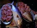 Joy of Fishing in Njivice & Boka Kotorska, Montenegro